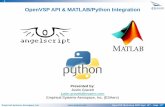 OpenVSP API & MATLAB/Python Integration
