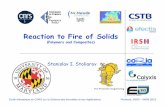 Reaction to Fire of Solids - univ-lorraine.fr