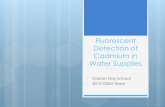 Fluorescent Detection of Cadmium in Water Supplies - iGEM