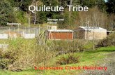 Storage and Raceways Incubation Bldg - Quileute Tribe