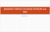 MANAGING FOREIGN EXCHANGE RISK AND EXPOSURE