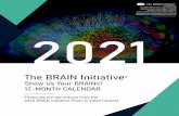 2021 BRAIN Initiative Calendar