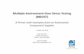 Multiple Environment Over Stress Testing (MEOST)