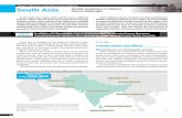 Region-Specifi c Activities and Initiatives South Asia ...