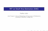 RIT on Small Area Estimation (SAE) - UMD