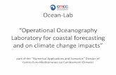 Struttura Organizzativa - GODAE - Global Ocean Data Assimilation
