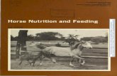 Horse Nutrition and Feeding - University of Minnesota