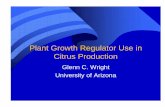 Plant Growth Regulator Use in Citrus Production
