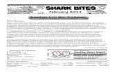 full Shark Bites - Downes Elementary School