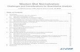 Western Blot Normalization - LI-COR Biosciences
