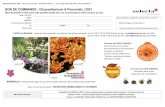 BON DE COMMANDE - Chrysanthemum & Perennials | 2021