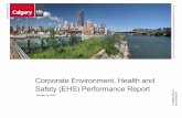 Corporate Environment, Health and Safety (EHS) Performance ...