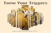 Tame Your Triggers