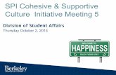 Division of Student Affairs SPI Cohesive & Supportive ...