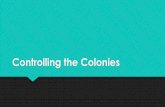 Controlling the Colonies