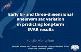 Early bi- and three-dimensional aneurysm sac variation in ...