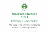 Naturopathic Nutrition Year 1 - thecnm.com