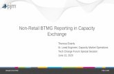 Non-Retail BTMG Reporting in Capacity Exchange