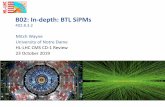 B02: In-depth: BTL SiPMs