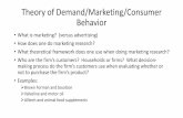 Theory of Demand/Marketing