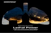Executive Summary Lethal Power - Greenpeace