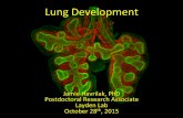 LungDevelopment% - Lehigh University