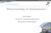 Phenomenology of consciousness I
