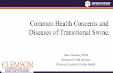 Common Health Concerns and Diseases of Transitional Swine.
