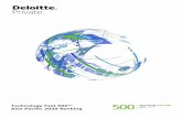 Technology Fast 500™ - Deloitte
