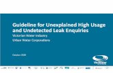 Guideline for Unexplained High Usage and Undetected Leak ...