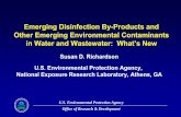 Emerging Disinfection By-Products and Other Emerging ...