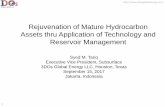 Rejuvenation of Mature Hydrocarbon Assets thru Application ...