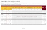 Information Technology Job Family