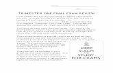 Trimester One Final Exam Review - dorsetw.weebly.com