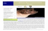 Volume 9 African Bat Conservation News