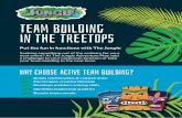 Team building in the treetops