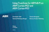 Using TrustZone for ARMv8-M on ARM Cortex-M23 and ARM ...