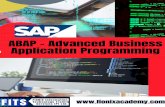 Application Programming ABAP - Advanced Business