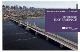 BRIDGE EXPERIENCE - STV