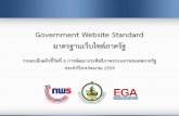 Government Website Standard