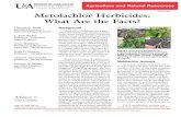 Metolachlor Herbicides: What Are the Facts?