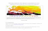 HPAI Risk Analysis for West Siberian Lowlands/Palearctic Areas