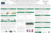 The Effects of Different Insoluble Phosphate Media on ...