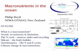 Macronutrients in the ocean - SOLAS