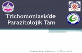 Trichomoniasis Parazitolojik Tanı