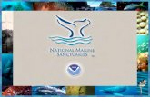 MPWC in the Marine Sanctuary: Issue Background
