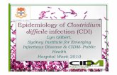 Epidemiology of Clostridium difficile infection (CDI)