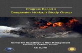Progress Report 2 Deepwater Horizon Study Group