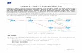 BGP-LS Configuration Lab - wiki.apnictraining.net