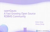 openGauss: A Fast Growing Open Source RDBMS Community